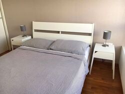 Flamingo Valley (D15), Condominium #546098271